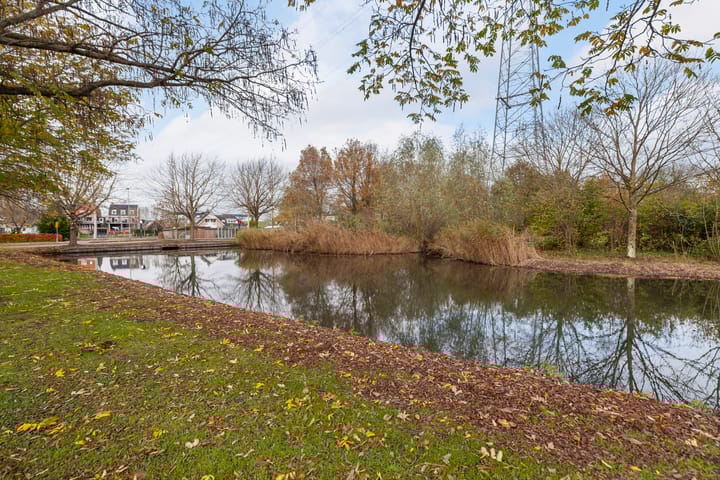 Photo 37 of Zomertaling 17