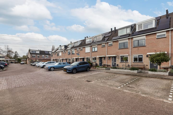 Photo 40 of Zomertaling 17