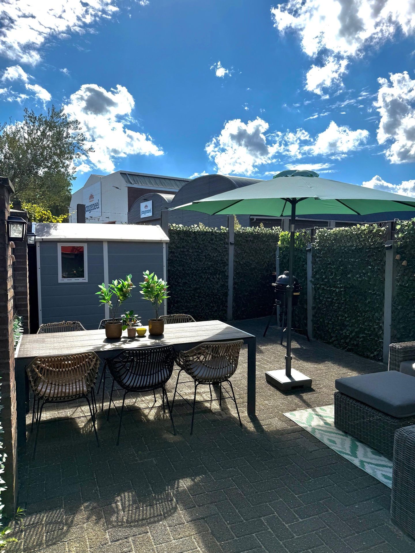 Photo 40 of Van Meterenstraat 12