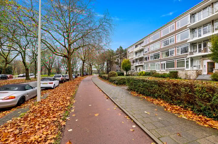 Foto 7 van Reigersbergenweg 22