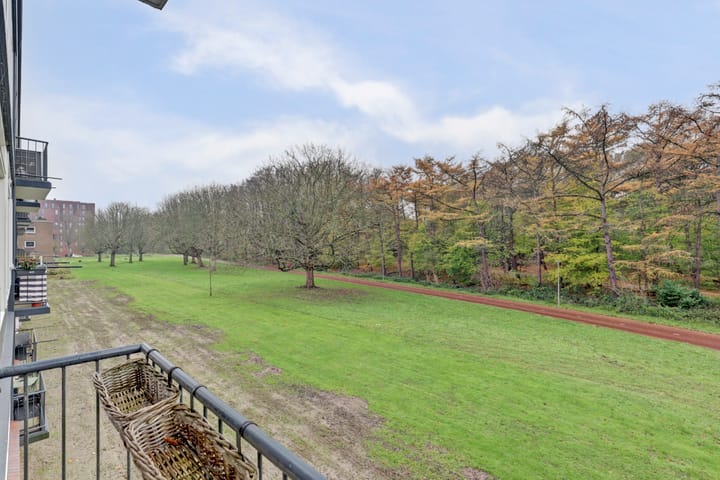 Foto 3 van Wijnruitstraat 9