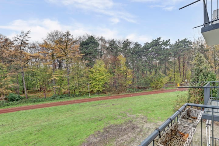 Foto 15 van Wijnruitstraat 9