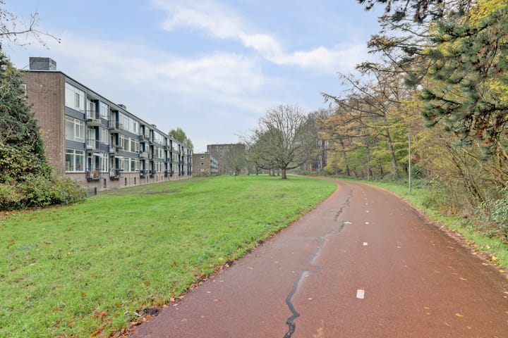 Foto 18 van Wijnruitstraat 9