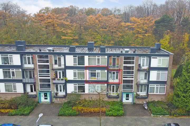 Foto 19 van Wijnruitstraat 9