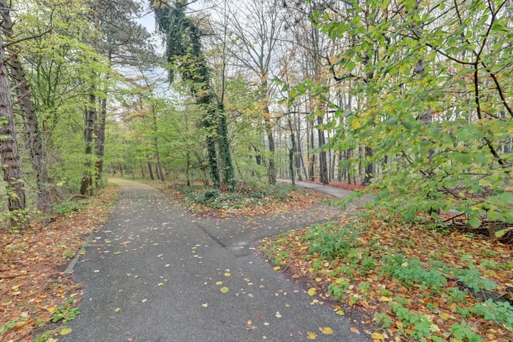 Foto 17 van Wijnruitstraat 9