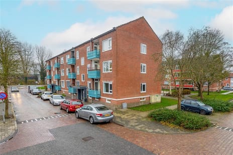 Meeuwenstraat thumbnail