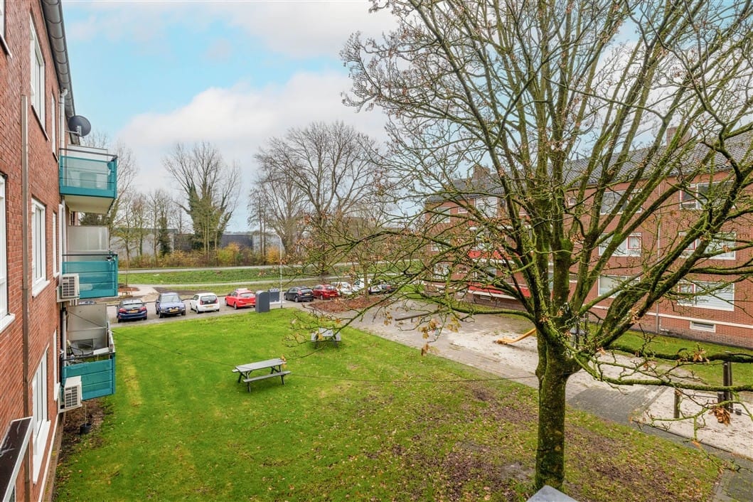 Foto 31 van Meeuwenstraat 18