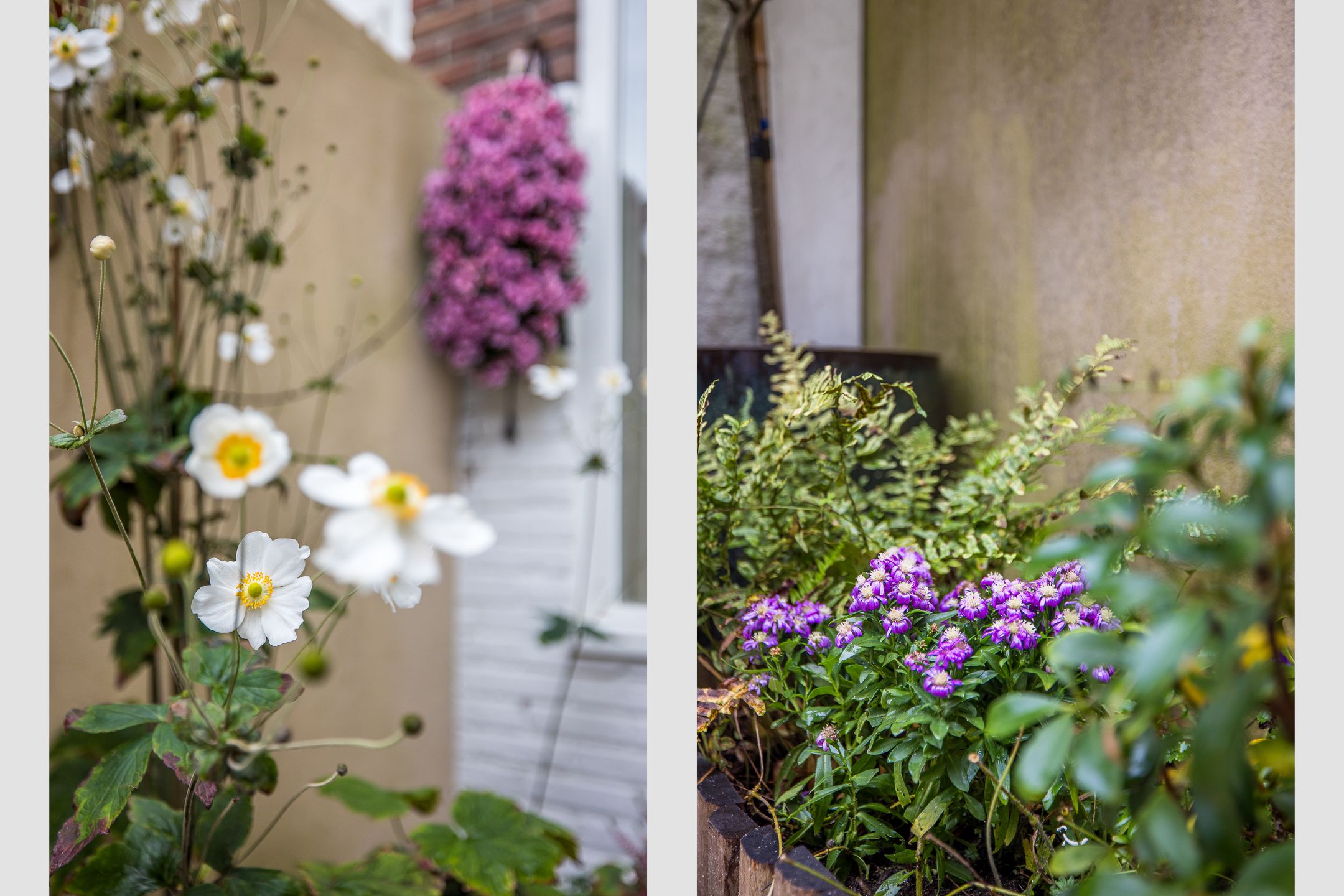 Photo 18 of Berkelstraat 102