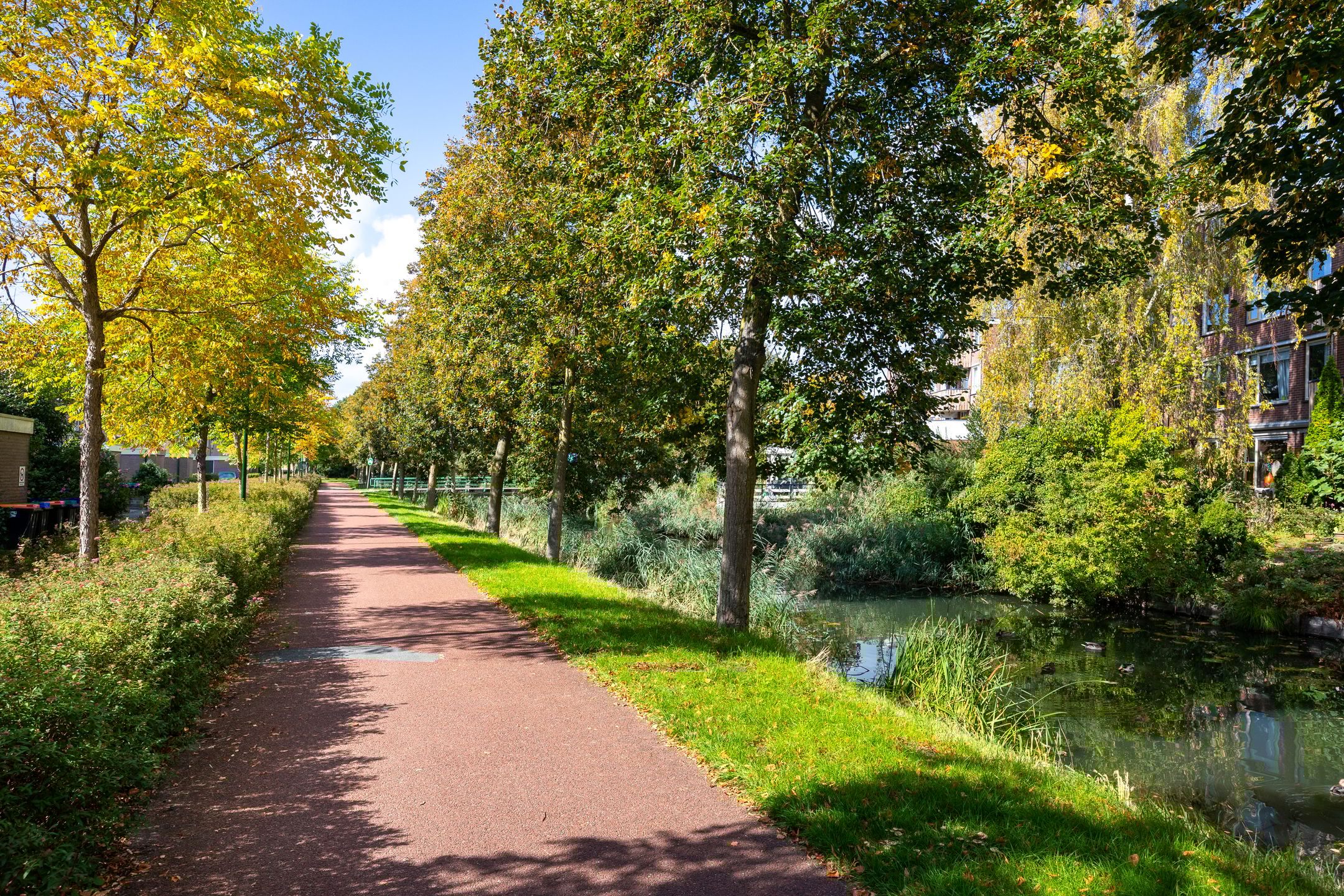 Foto 36 van Spechtenkamp 399