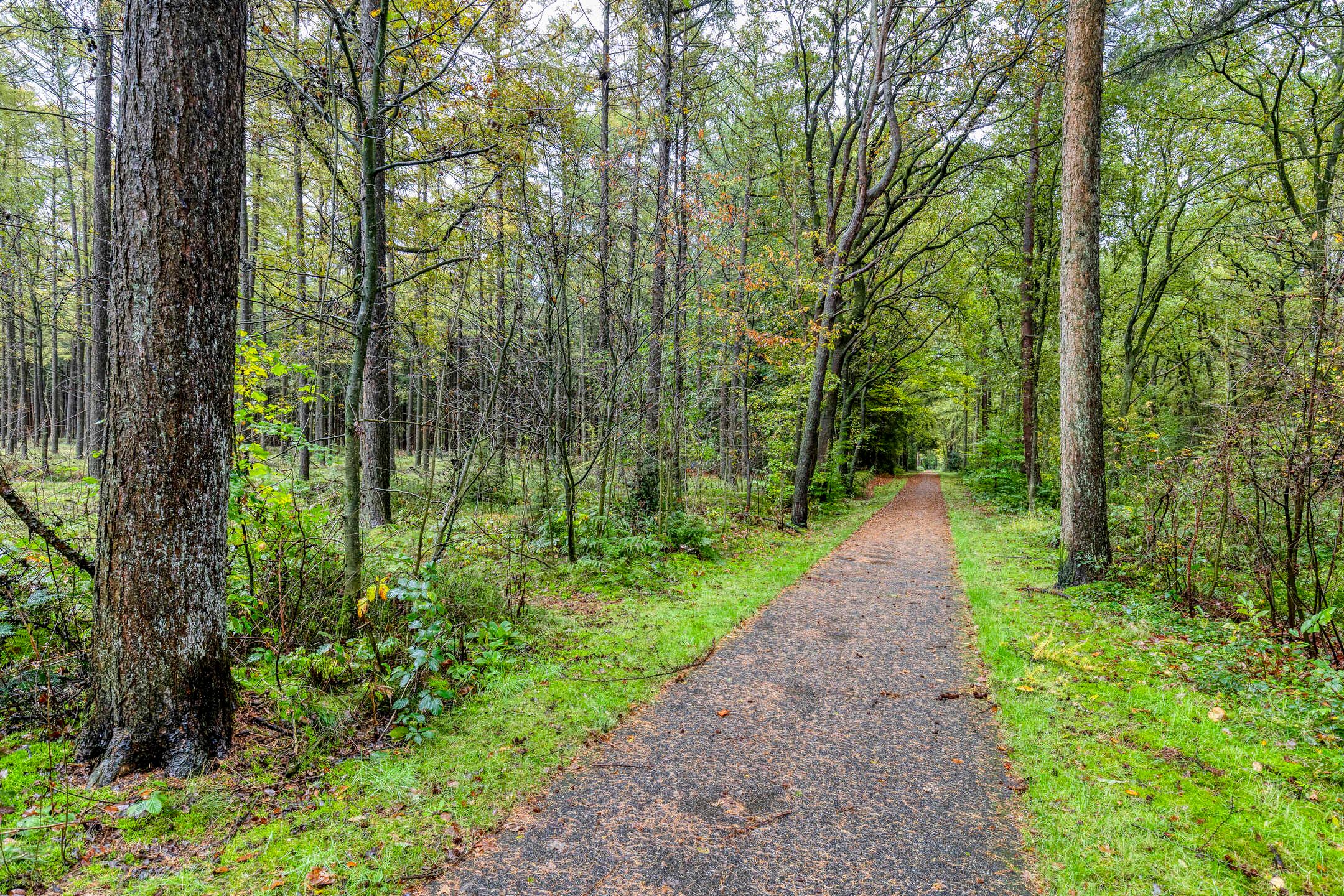 Photo 36 of Voorsteweg 19