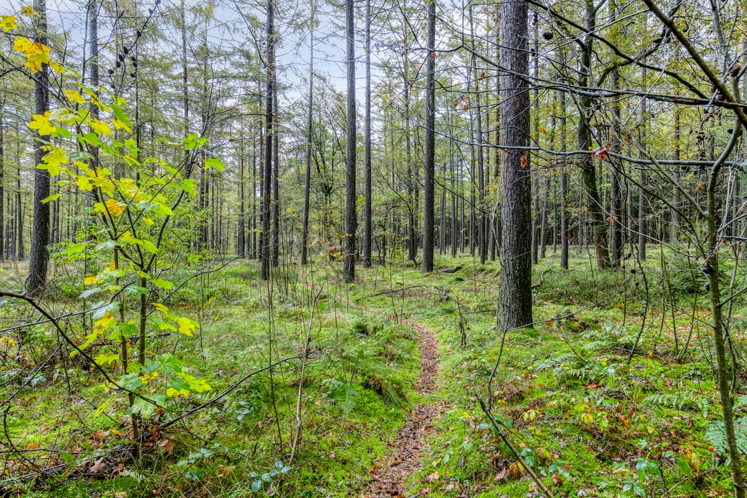 Photo 37 of Voorsteweg 19