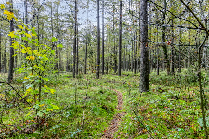 Foto 37 van Voorsteweg 19