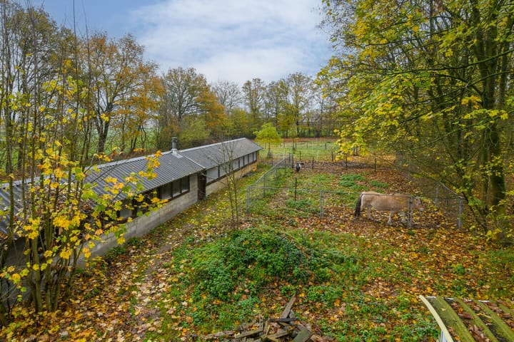 Foto 38 van Bloemerstraat 10