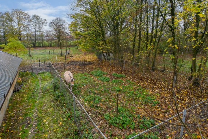 Foto 40 van Bloemerstraat 10