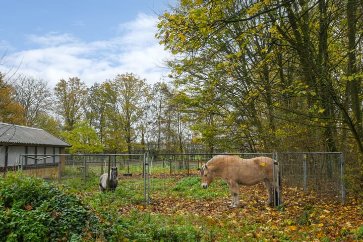 Foto 41 van Bloemerstraat 10