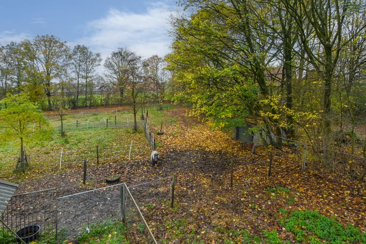 Foto 43 van Bloemerstraat 10