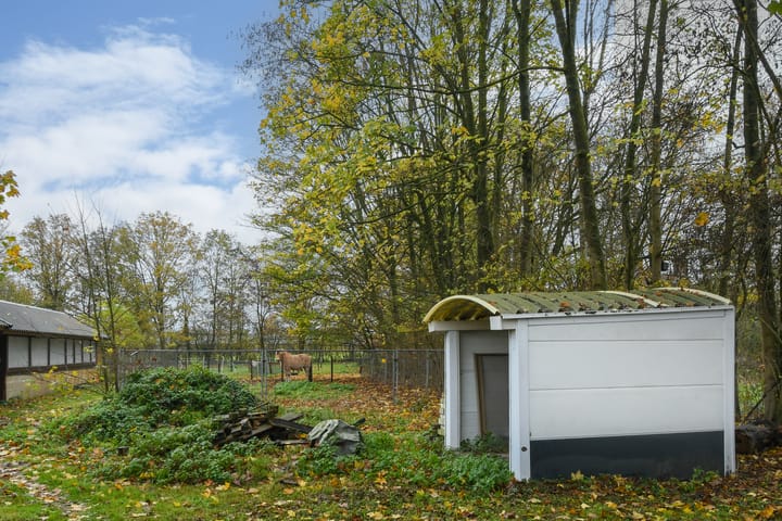 Foto 44 van Bloemerstraat 10