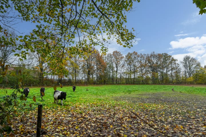 Foto 45 van Bloemerstraat 10