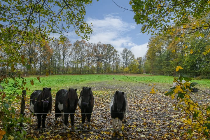 Foto 46 van Bloemerstraat 10