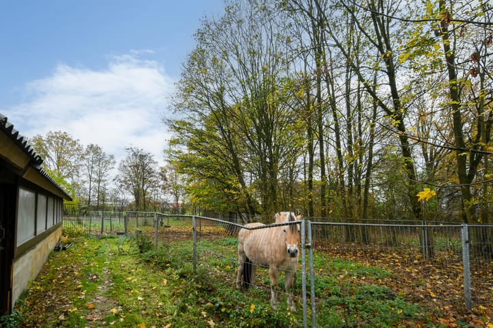 Foto 42 van Bloemerstraat 10