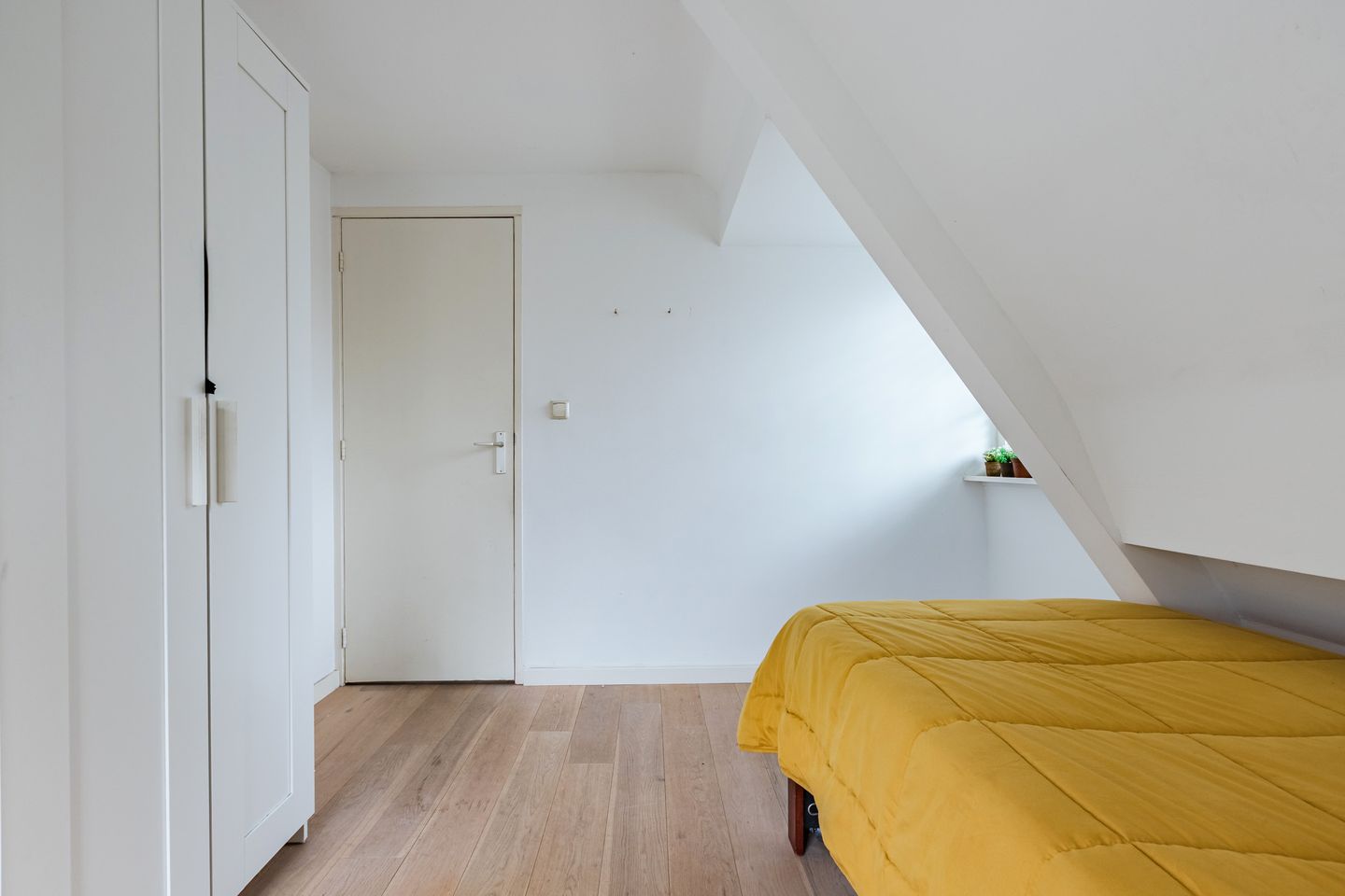 Foto 29 van Doorntjes 10