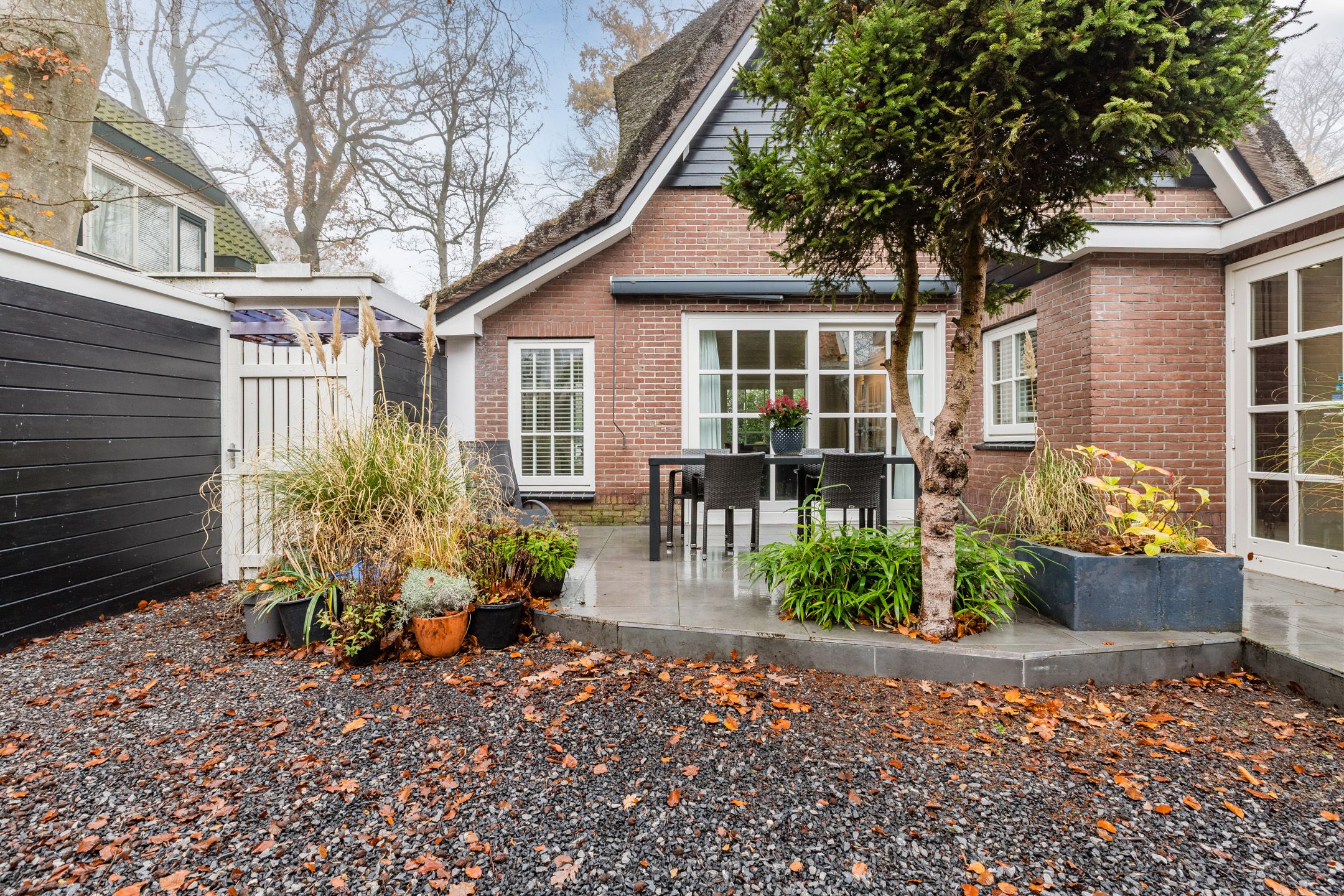 Foto 42 van Doorntjes 10