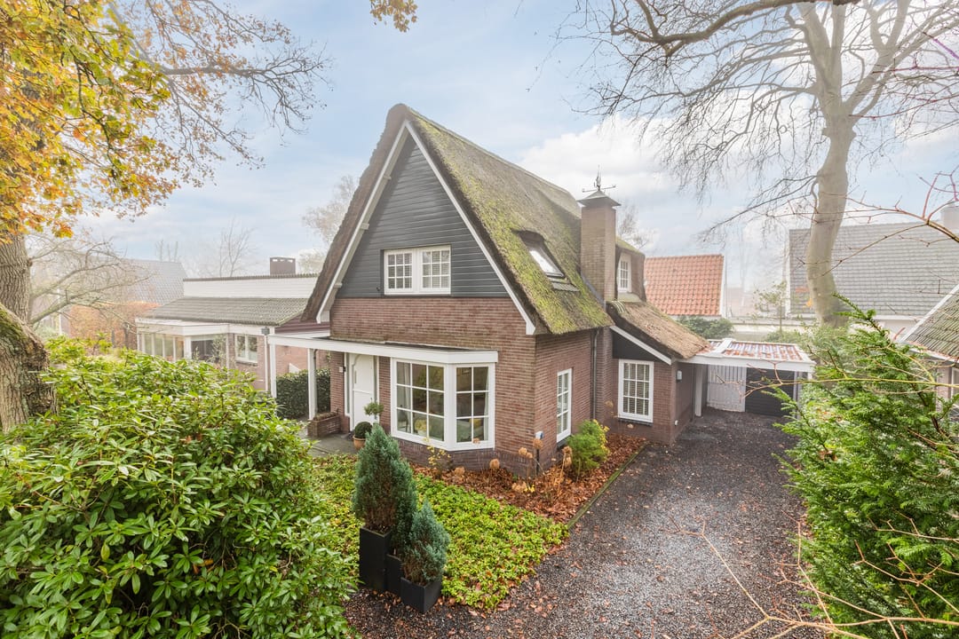 Foto 43 van Doorntjes 10