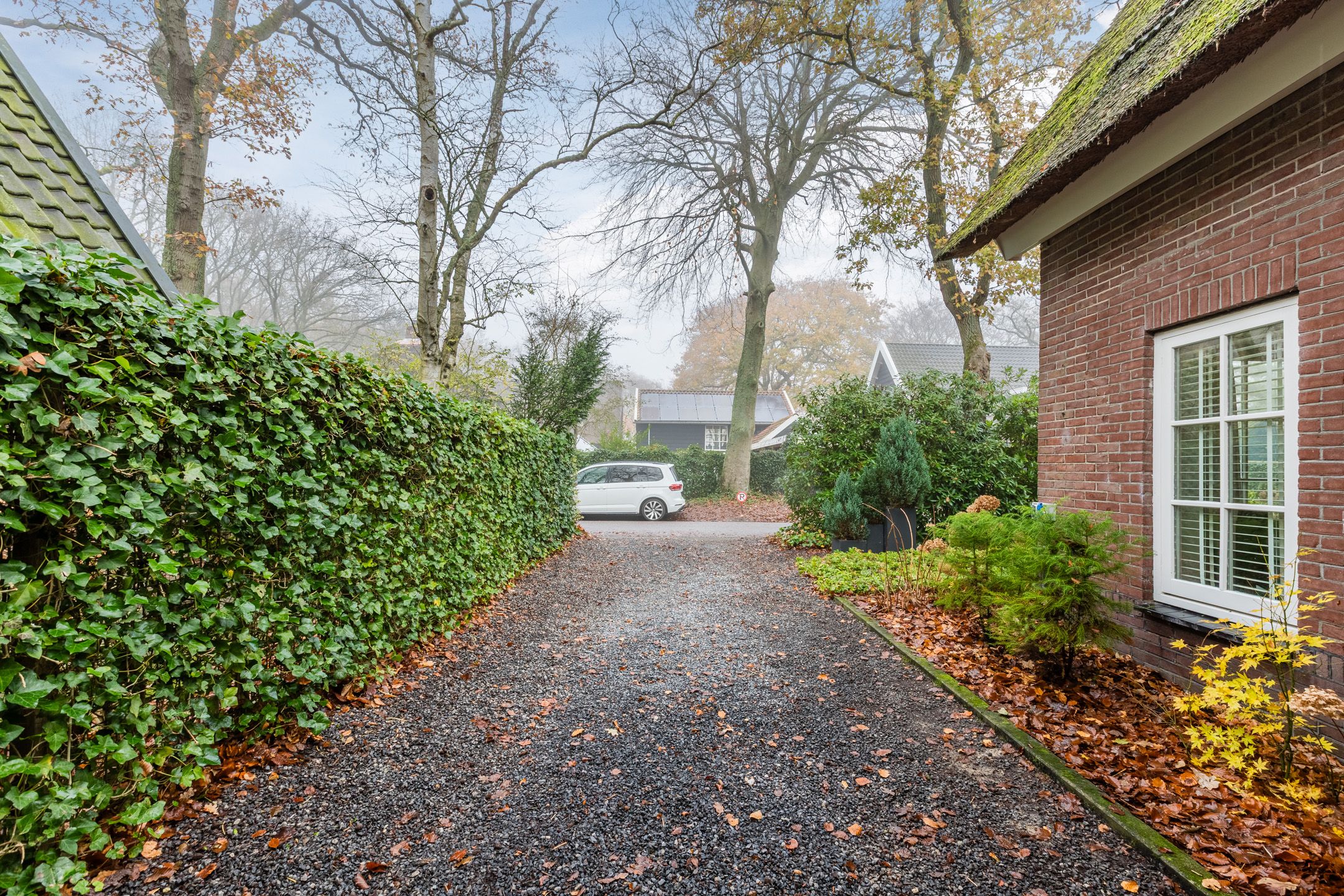 Foto 45 van Doorntjes 10