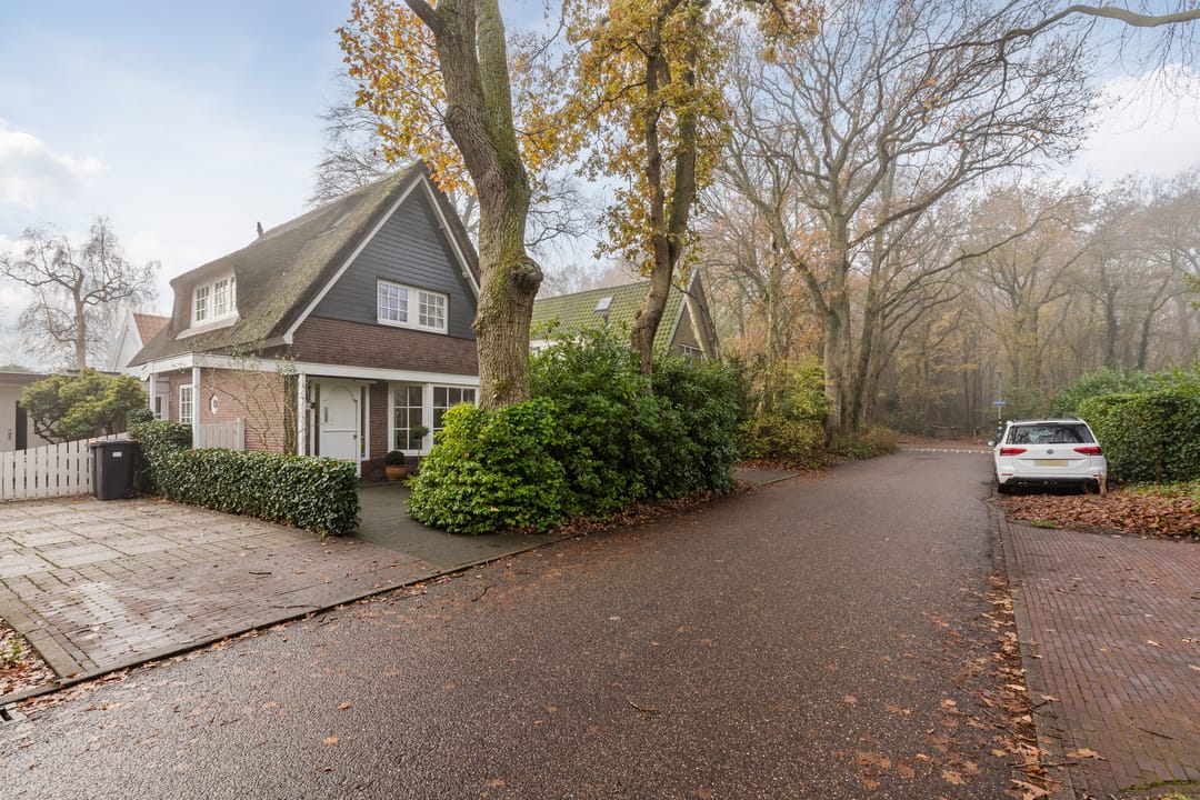 Foto 46 van Doorntjes 10