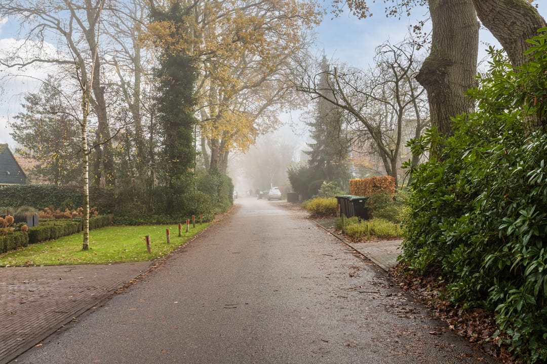 Foto 47 van Doorntjes 10