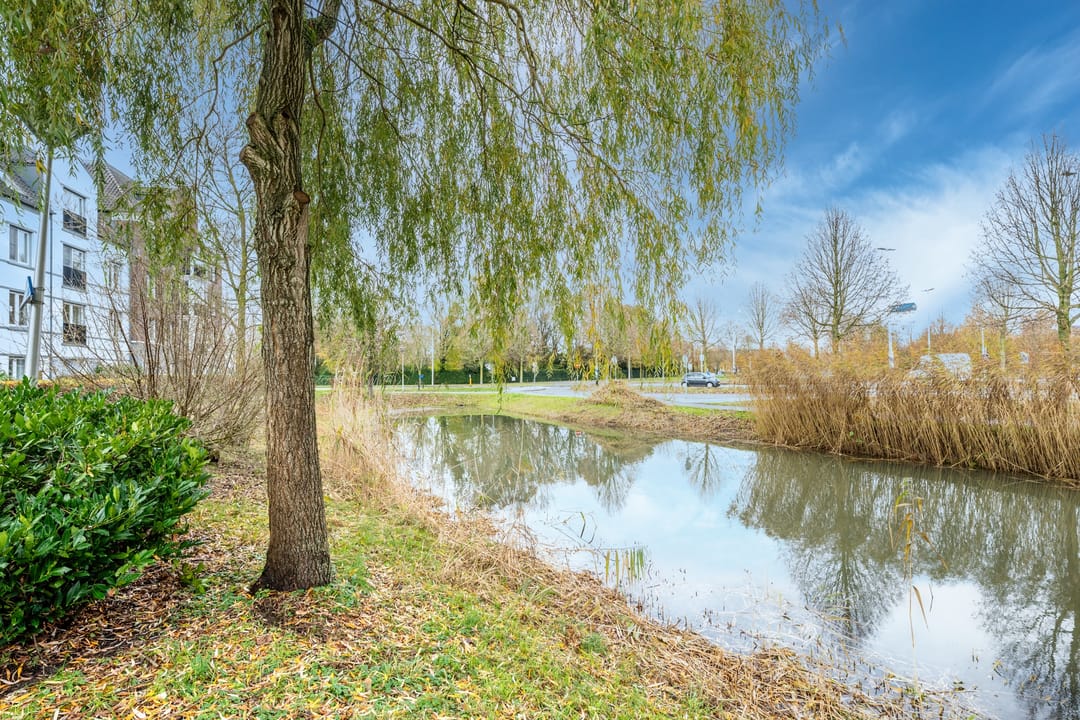 Foto 8 van Garmt Stuivelingsingel 28