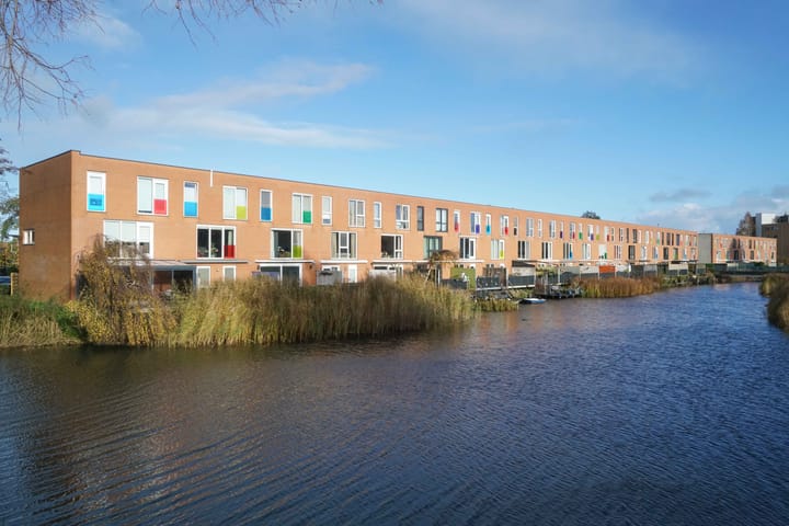 Foto 35 van Kikkerbeet 9