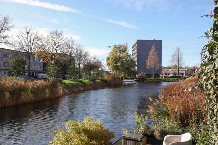 Foto 36 van Kikkerbeet 9