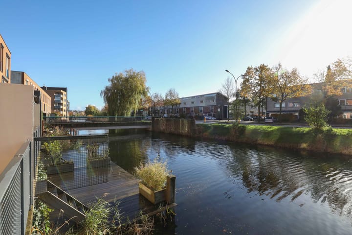 Foto 37 van Kikkerbeet 9