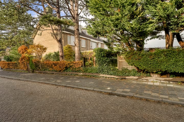 Foto 35 van Dr. A.E. Remouchampsstraat 2