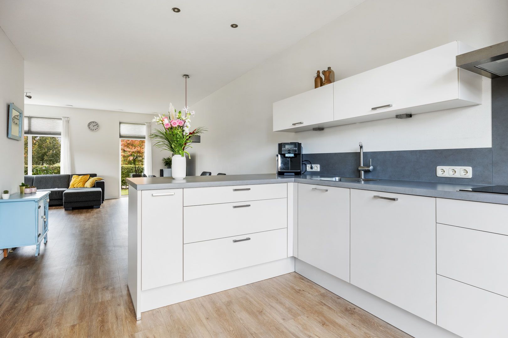 Photo 3 of Penningkruid 1