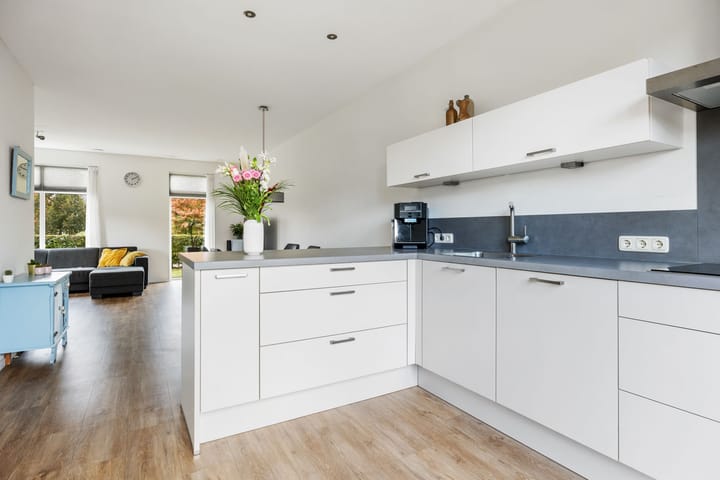 Foto 3 van Penningkruid 1