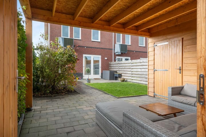 Foto 4 van Penningkruid 1