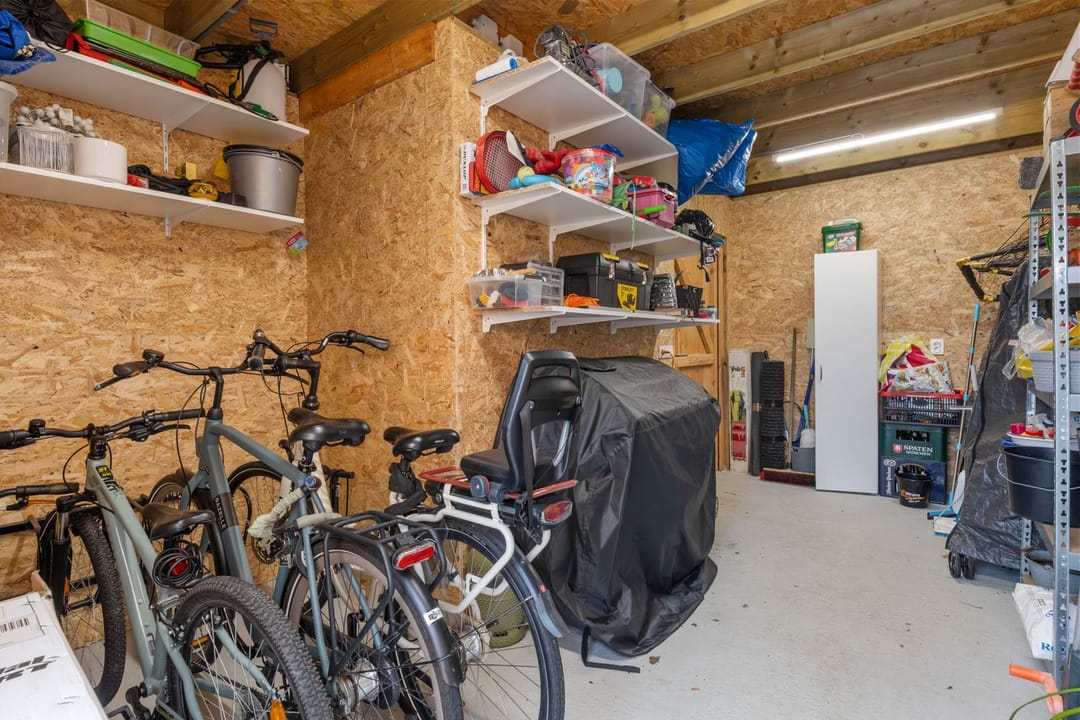 Photo 38 of Penningkruid 1