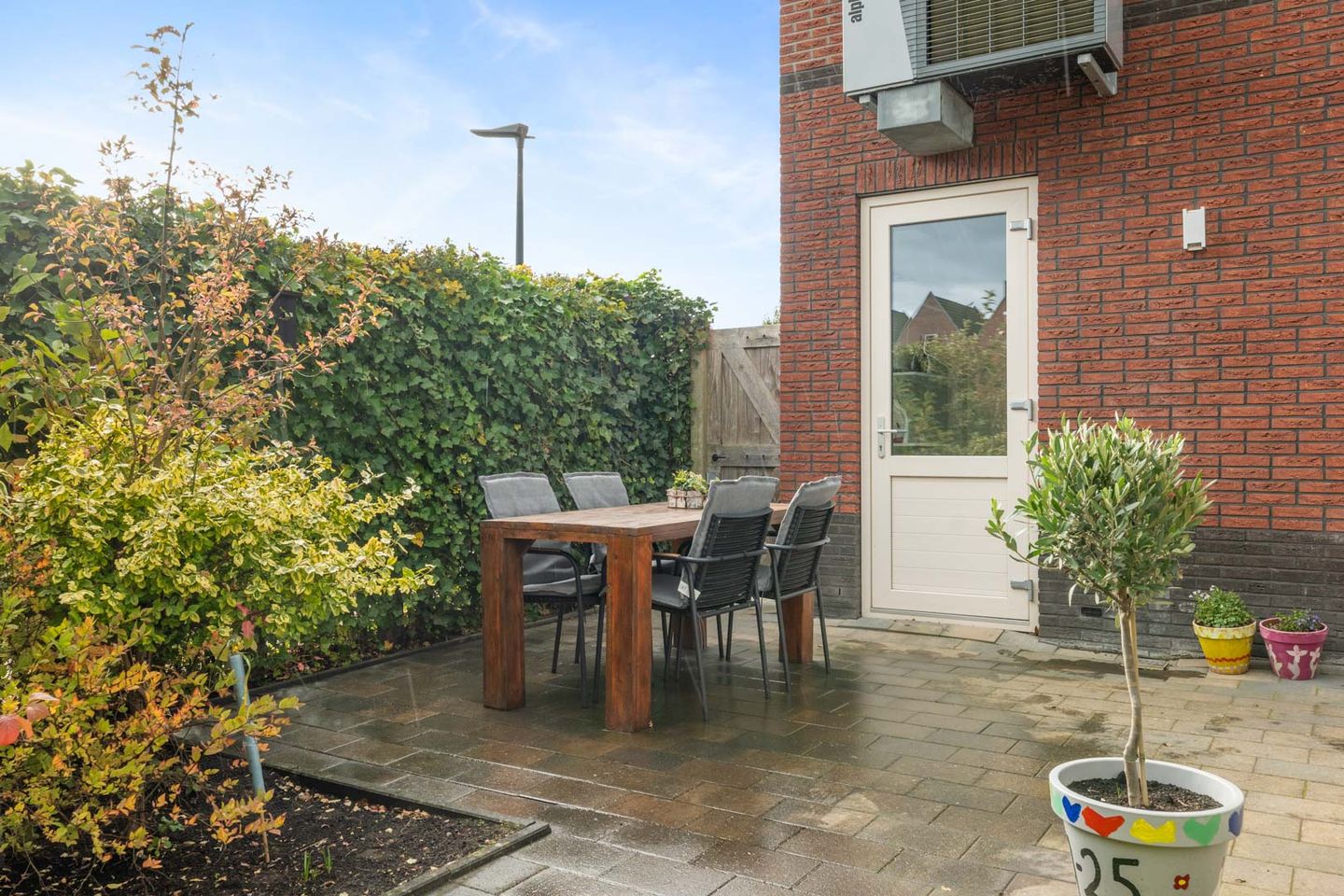 Photo 40 of Penningkruid 1