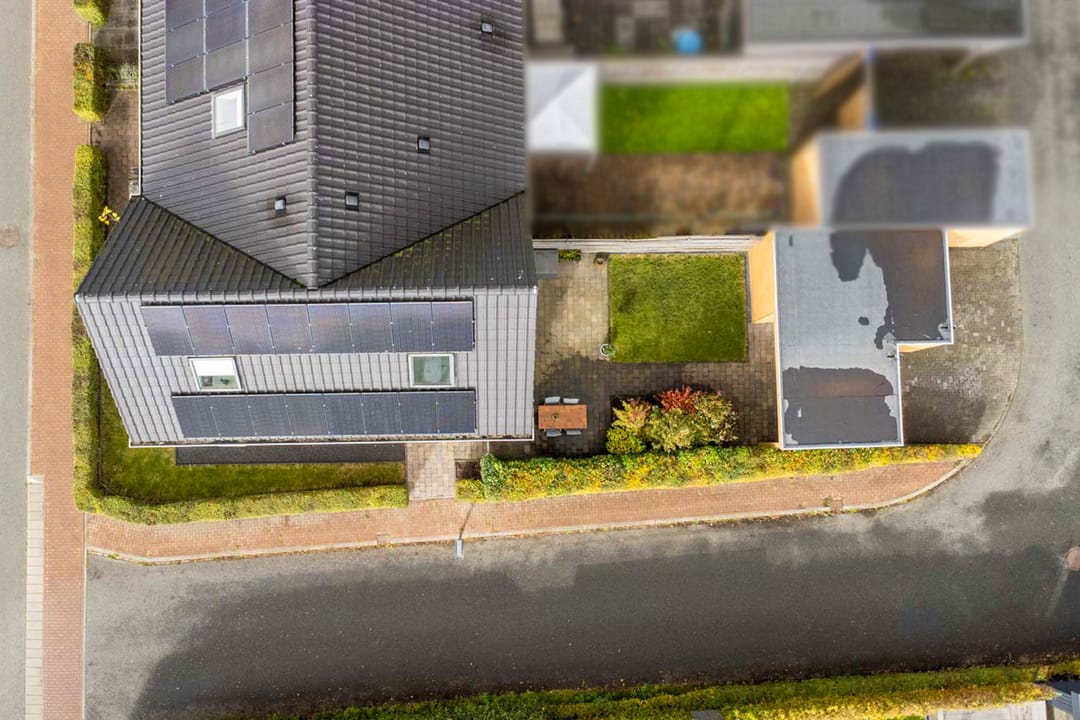 Photo 41 of Penningkruid 1