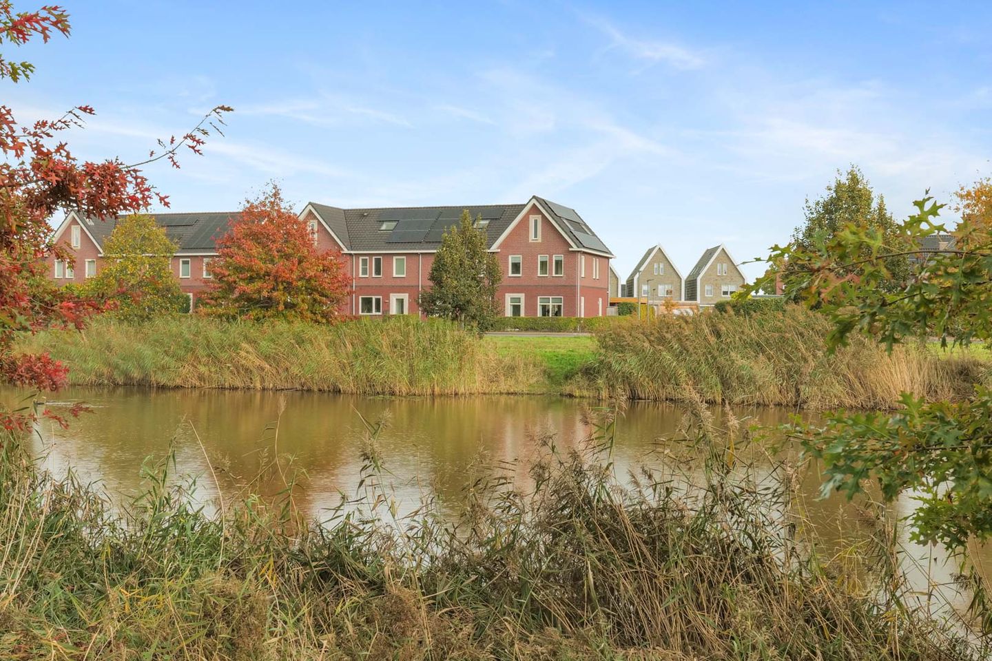 Photo 44 of Penningkruid 1