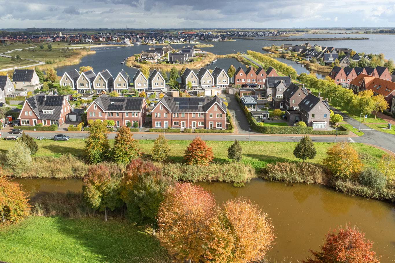 Photo 45 of Penningkruid 1