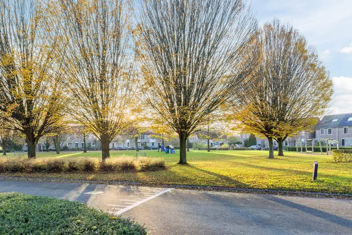 Foto 40 van Kamillestraat 14