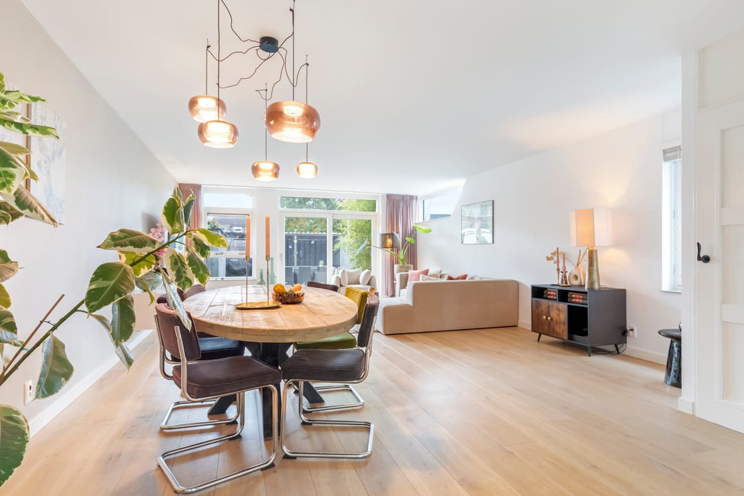 Foto 1 van Aalscholver 15