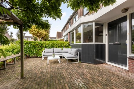 Aalscholver 15 tertiary image