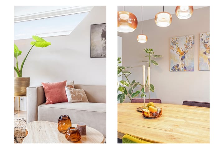 Foto 8 van Aalscholver 15