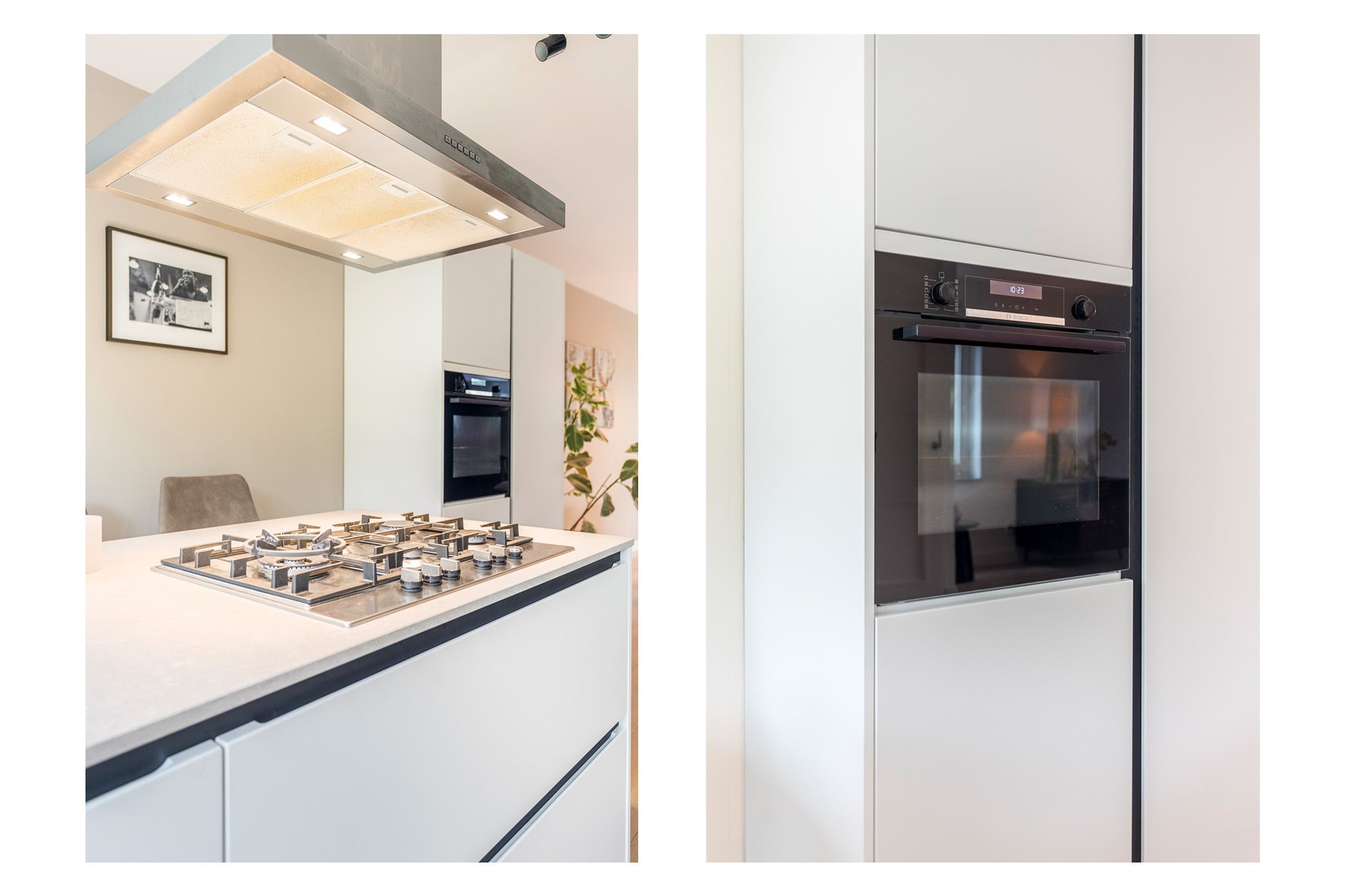 Foto 12 van Aalscholver 15