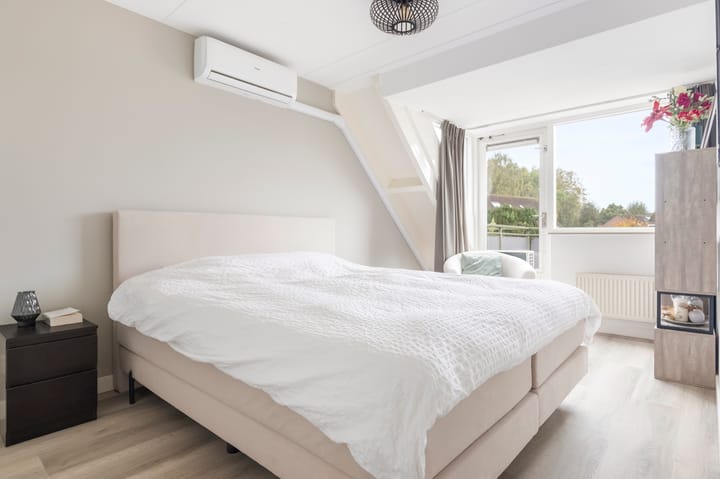 Foto 14 van Aalscholver 15