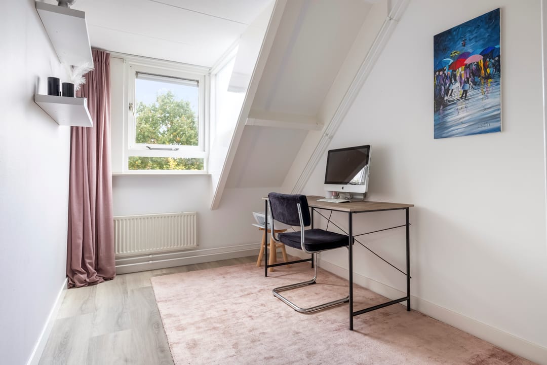 Foto 16 van Aalscholver 15